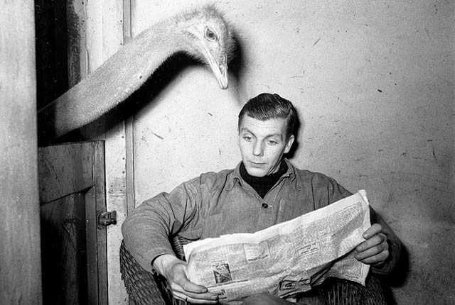 journalisme-crowdfunding