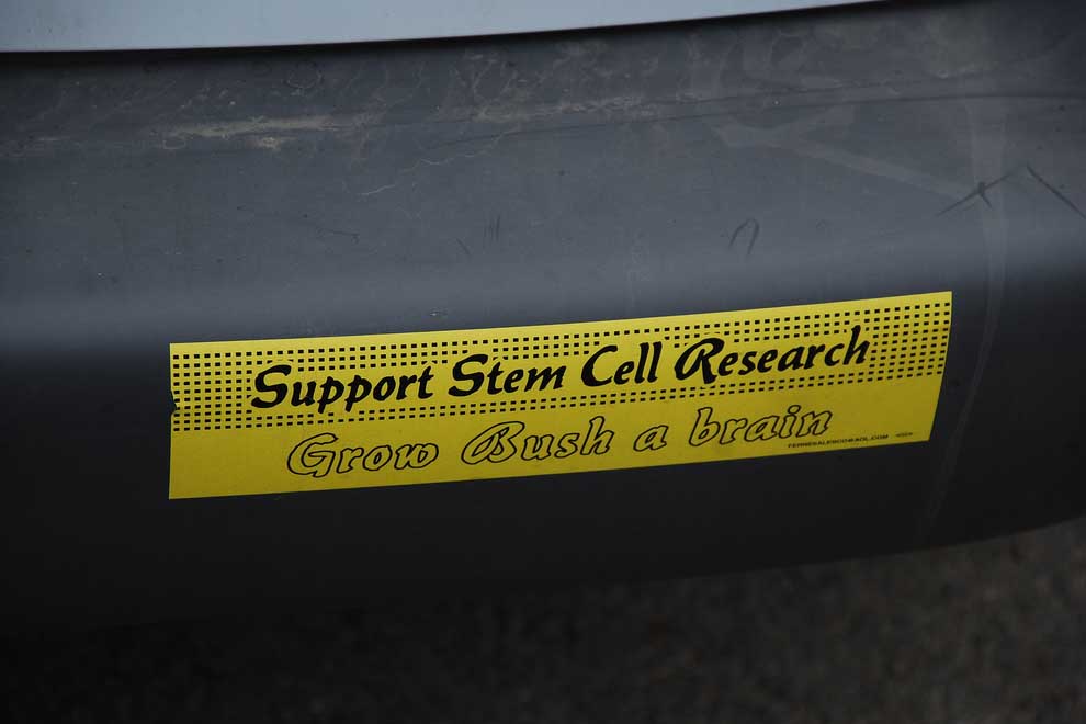 stem-cell