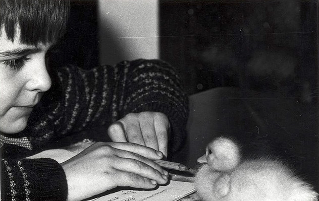 procrastination-duck-ok