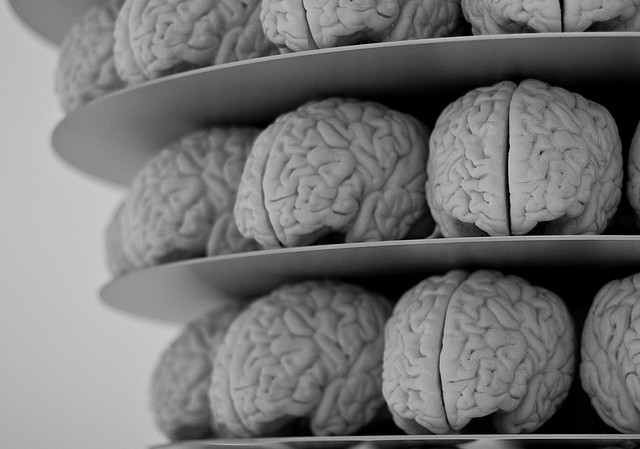 cerveaux_neuroscience
