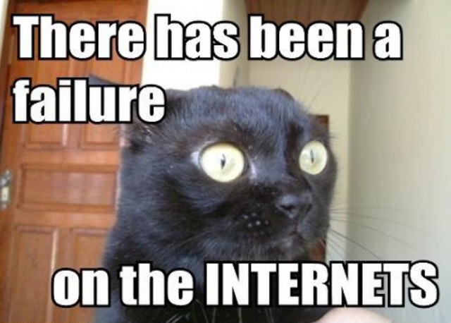 lolcat_404
