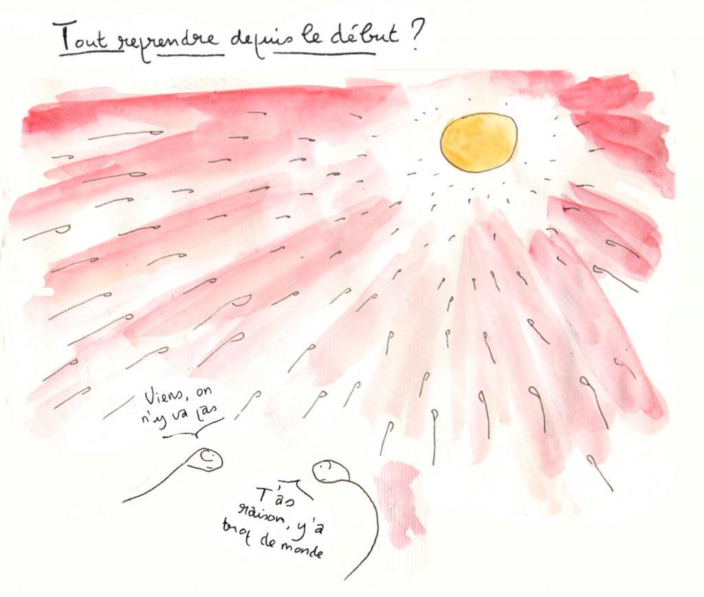 9-Spermatozoïdes