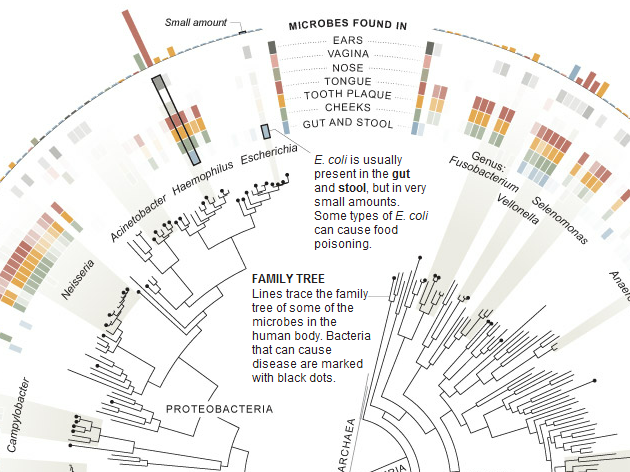 microbes